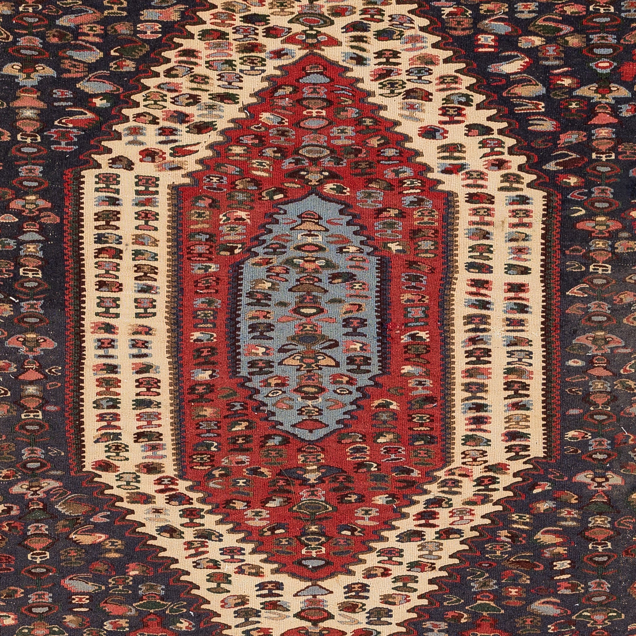 Senneh Kilim (3.9 x 4.9)ft